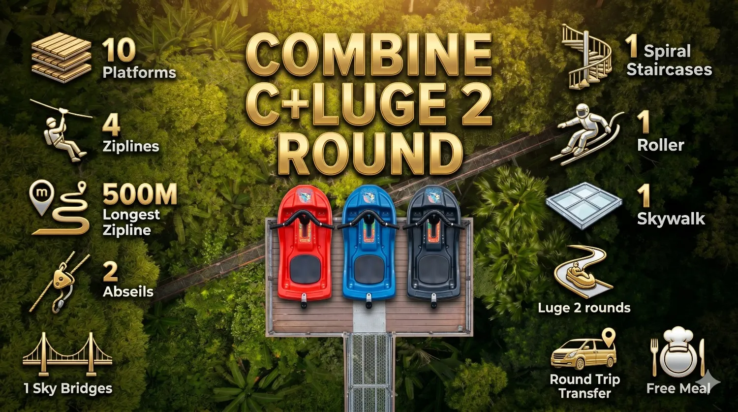 Combine C+LUGE 2 round ticket price